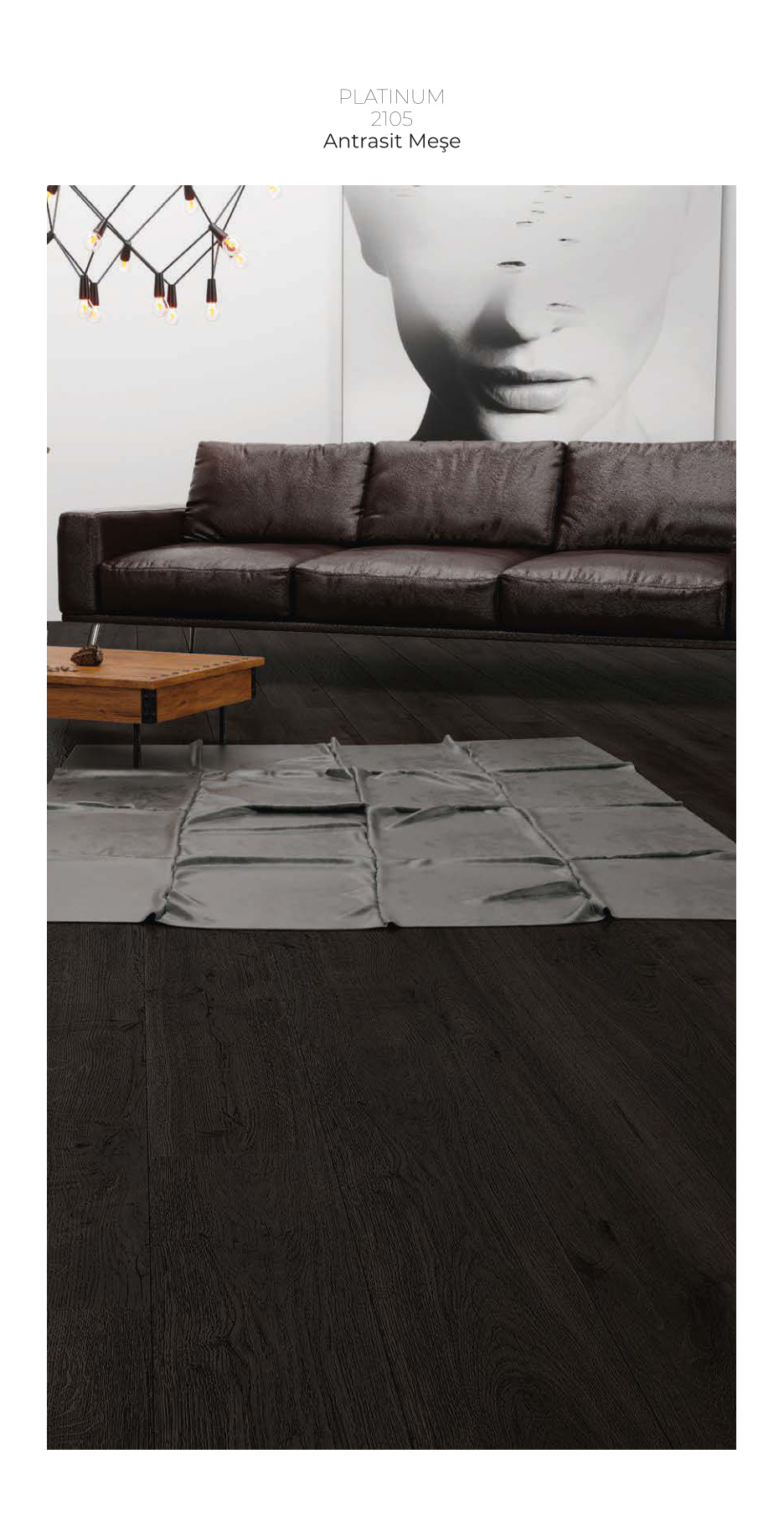 Çamsan Platinum katalog sayfa 11