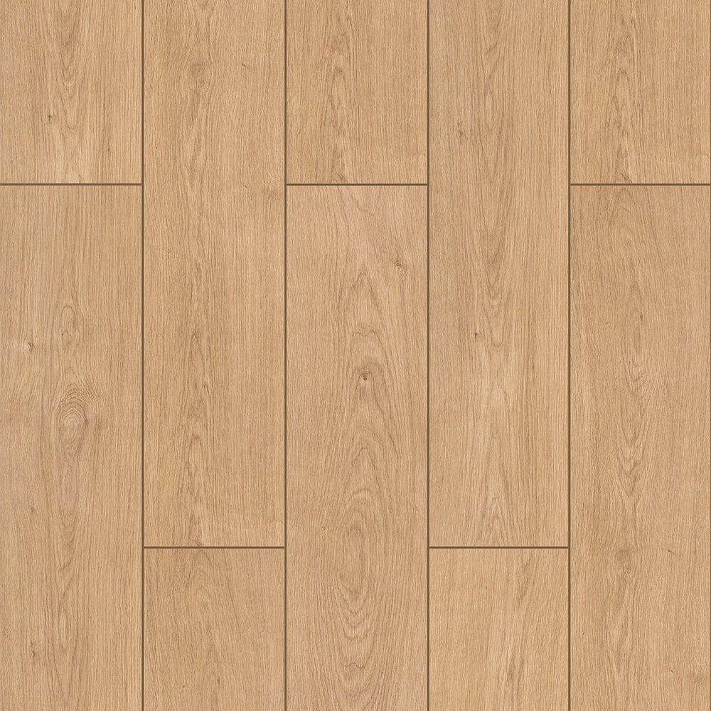 FST004 Larambla